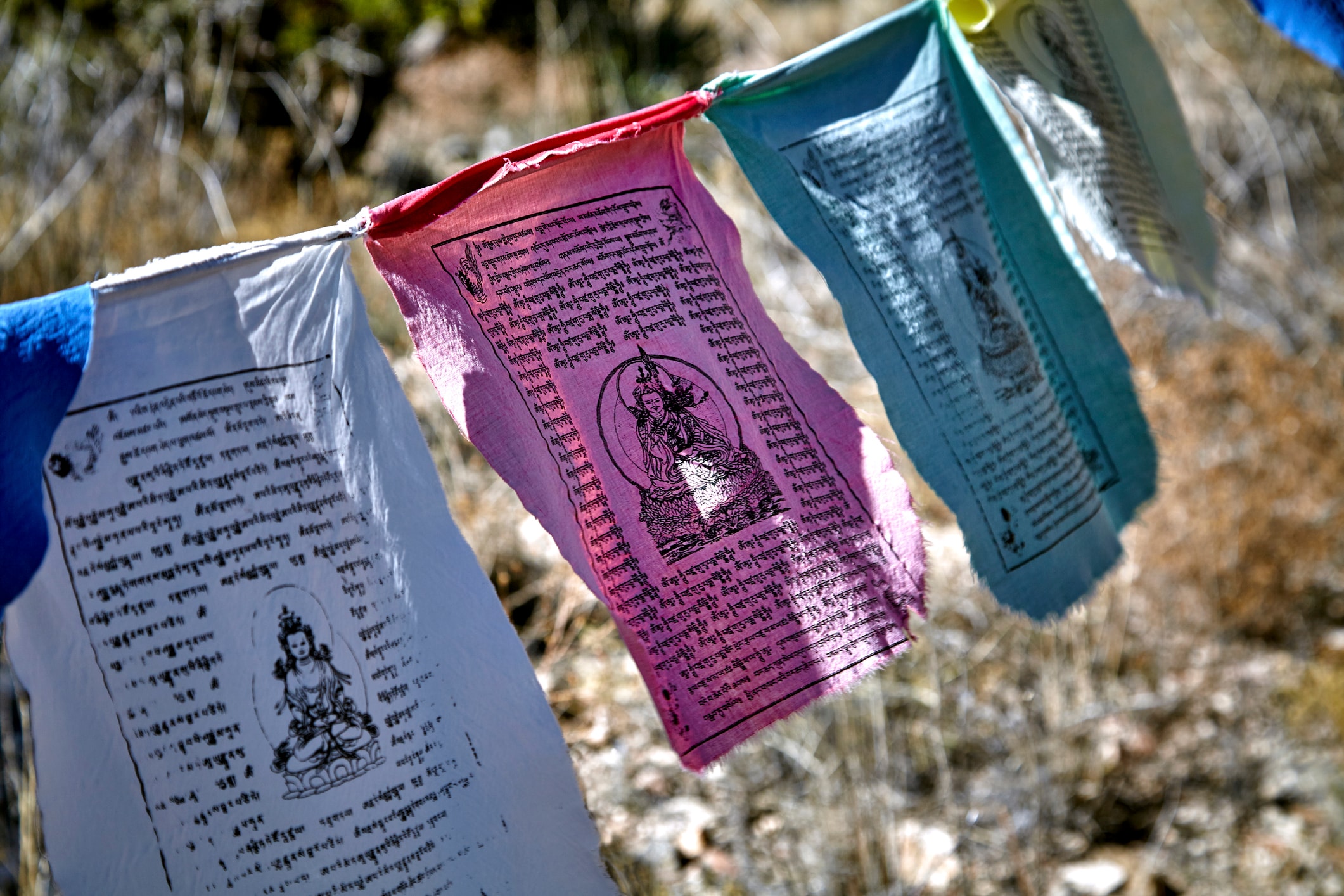 GOYA Dharma Talk | July 2026